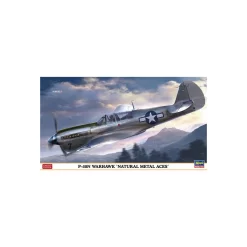 Hasegawa Maquette Avion Maquette D’avion En Plastique P-40N Warhawk ‘Natural Metal Aces’ 1:48