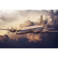 Roden Maquette Avion Bristol 175 Britannia African Safari