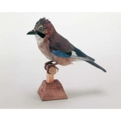 Maquette Carton Geai